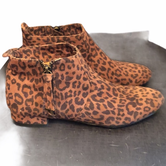 Capelli of New York Shoes - Capelli leopard booties